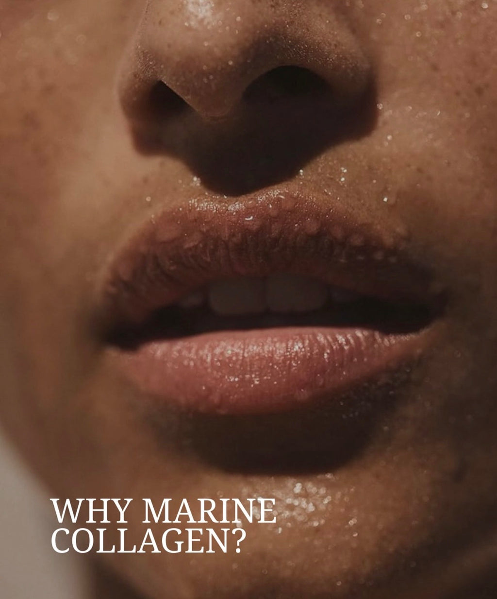 Biotech usa Marine Collagen