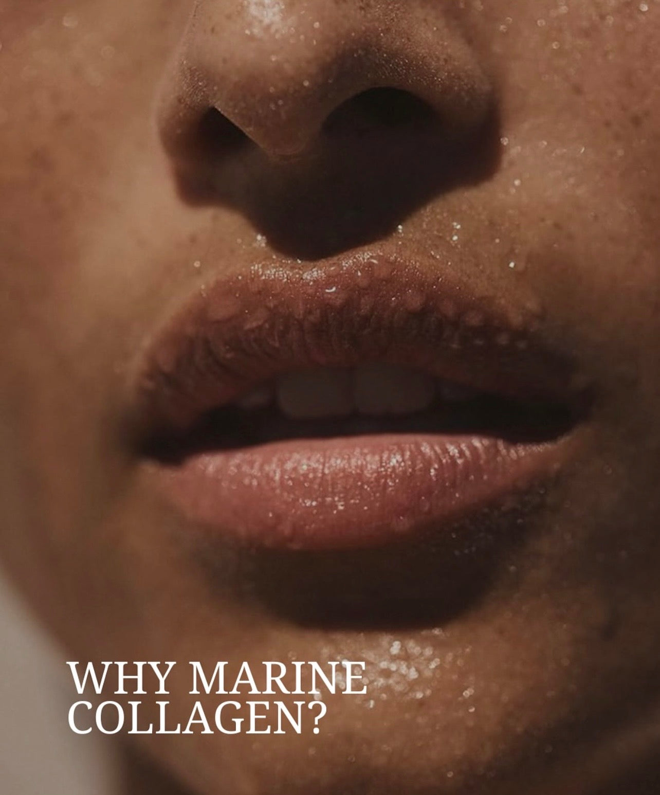 Biotech usa Marine Collagen